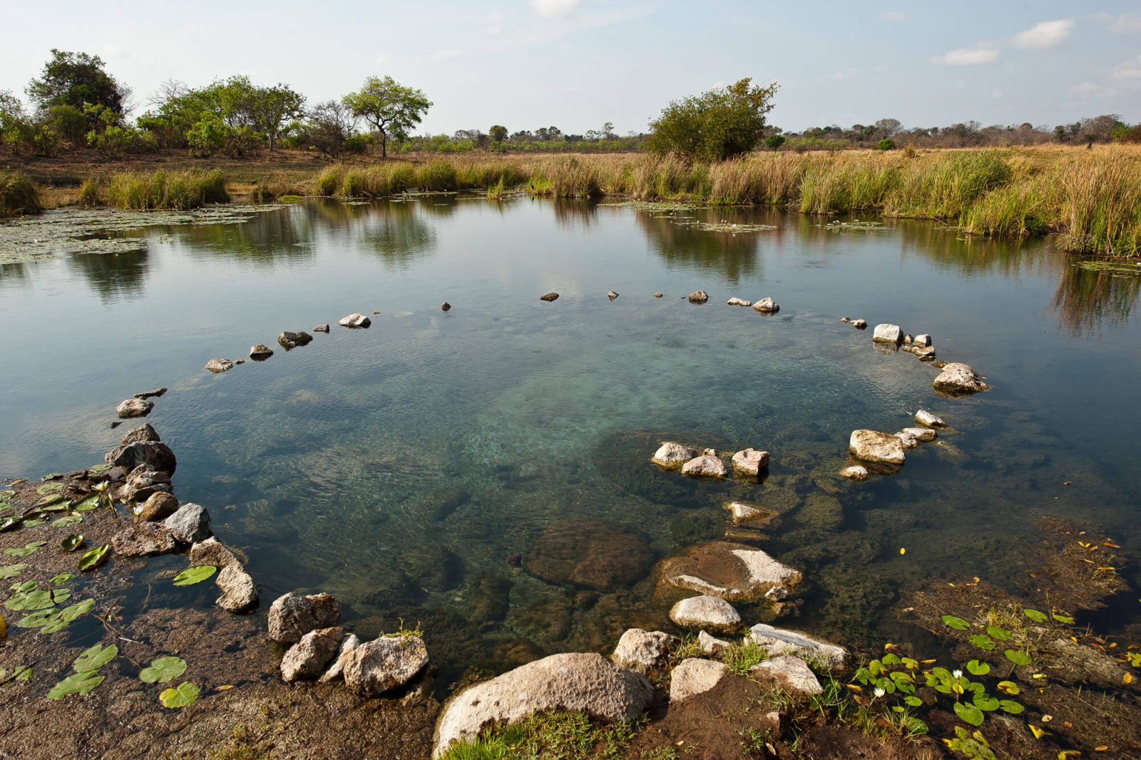 Hippo Lodge