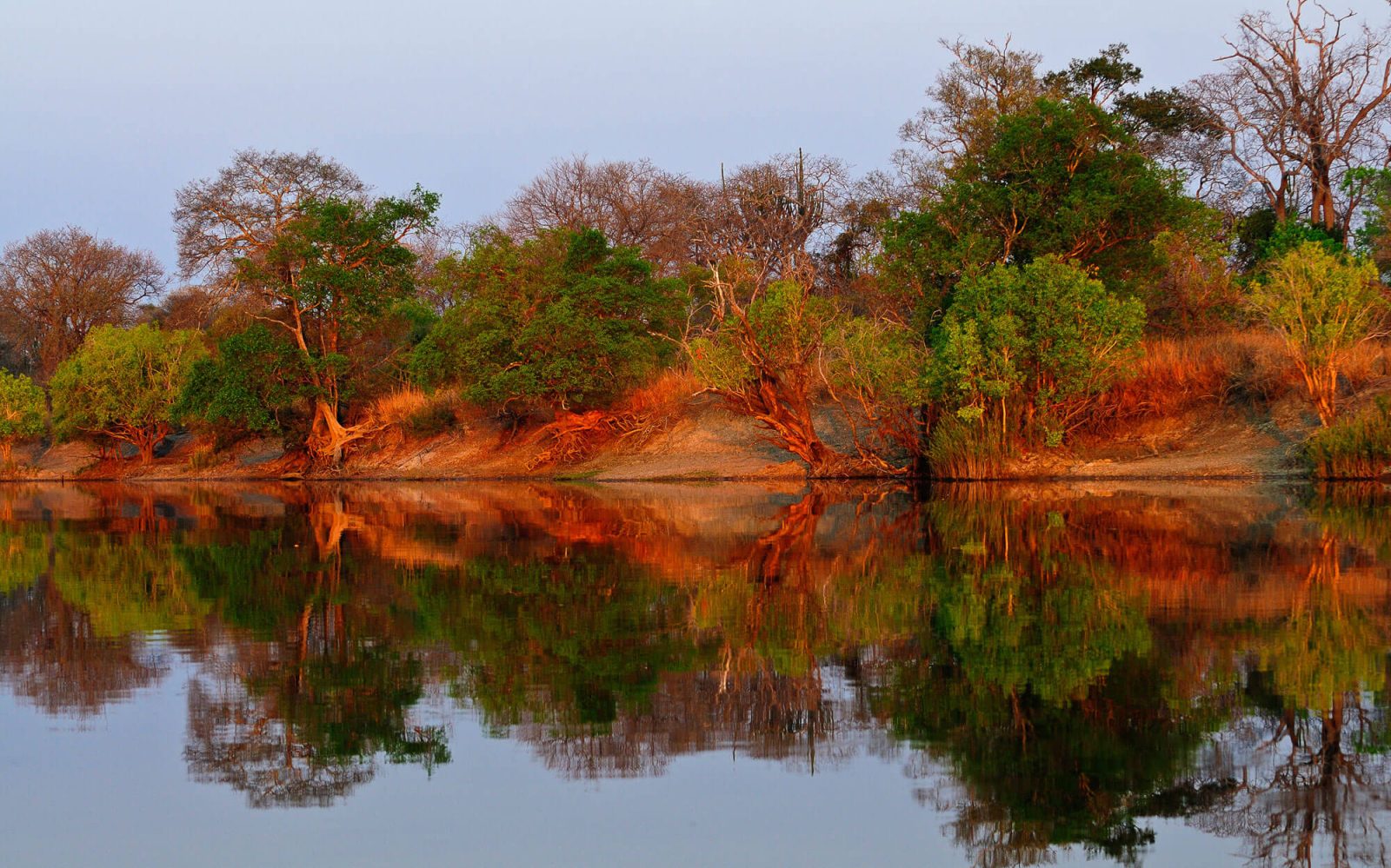 Hippo Lodge