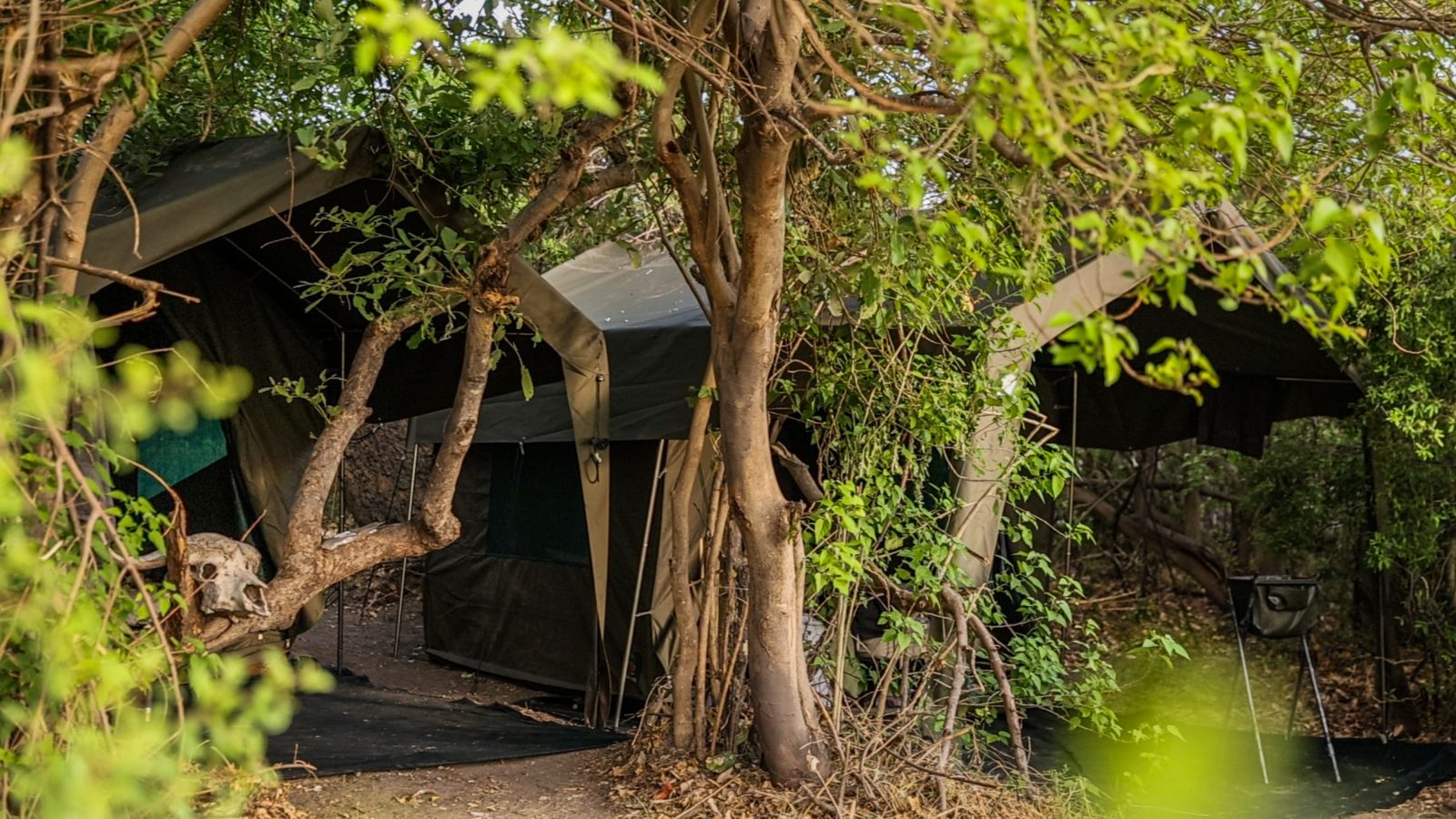 Xini Campsite
