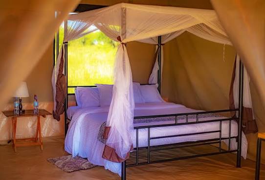 Sero Tented Camp - Ndutu (ncaa)