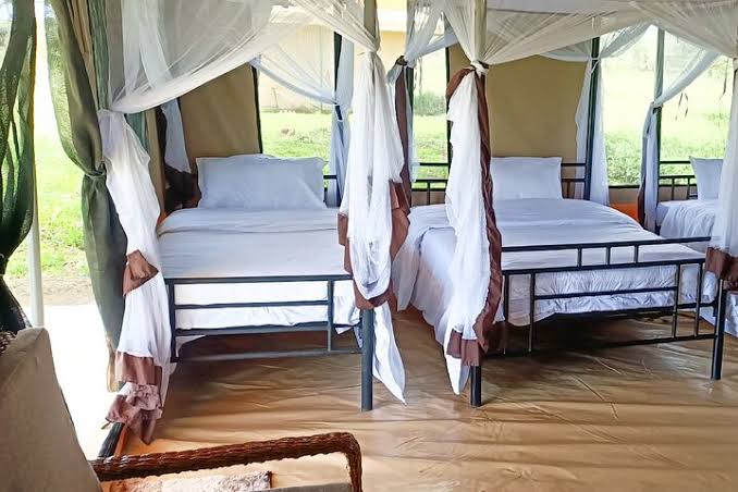 Sero Tented Camp - Ndutu (ncaa)