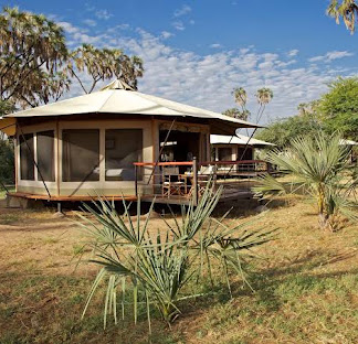 Ashnil Samburu Camp