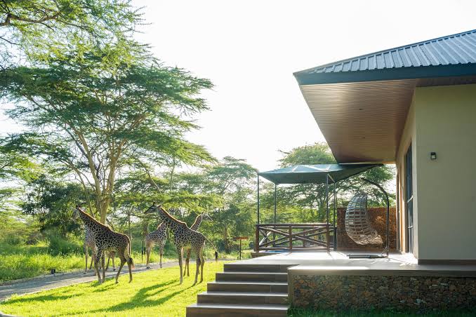 Aya Sophia Wildlife Villa